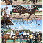 Whiskey Wes - 03 - 25 - 24 R01 Tup Turf Paradise