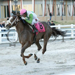 Wholelottamo - The 21St Running Of The La Bred Premier Distaff 02-03-24 R02 Delta Downs Inside