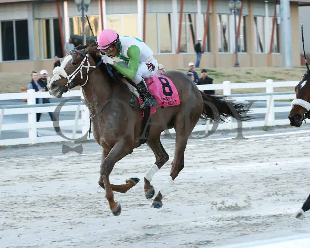 Wholelottamo - The 21St Running Of The La Bred Premier Distaff 02-03-24 R02 Delta Downs Inside