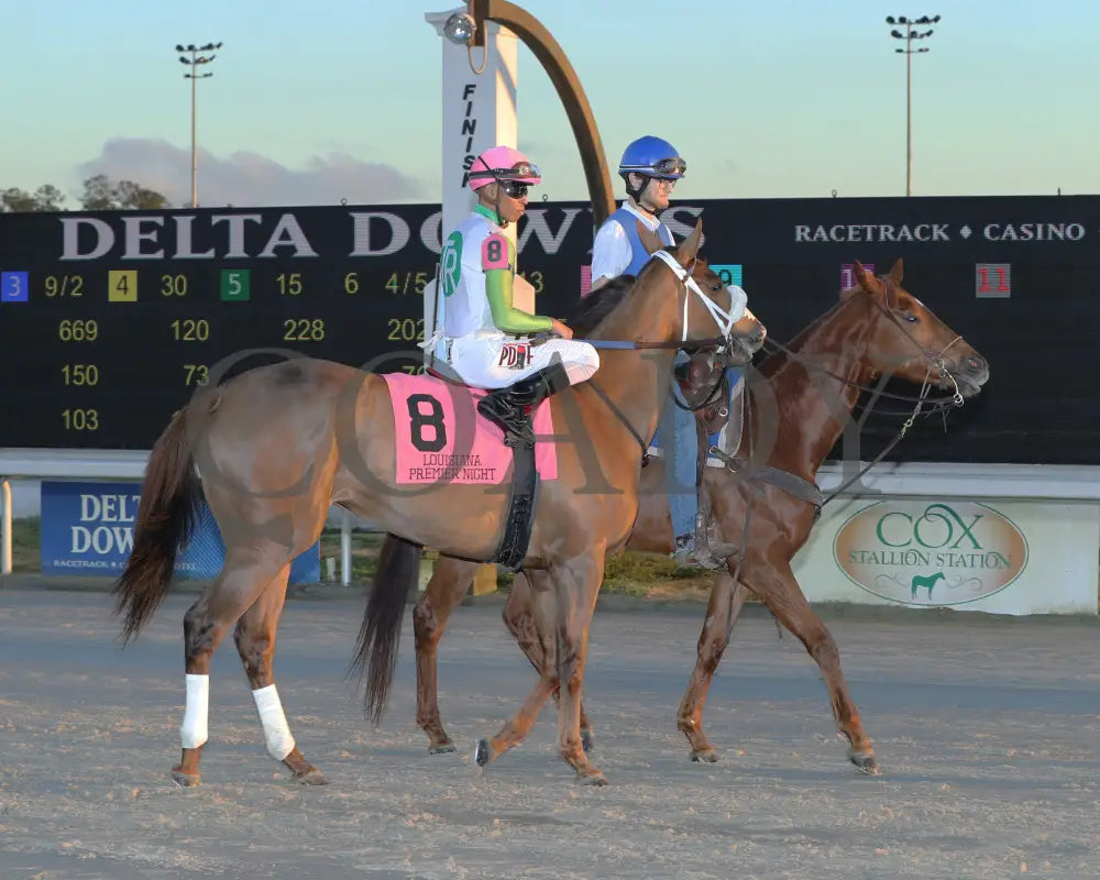 Wholelottamo - The 21St Running Of The La Bred Premier Distaff 02-03-24 R02 Delta Downs Post Parade