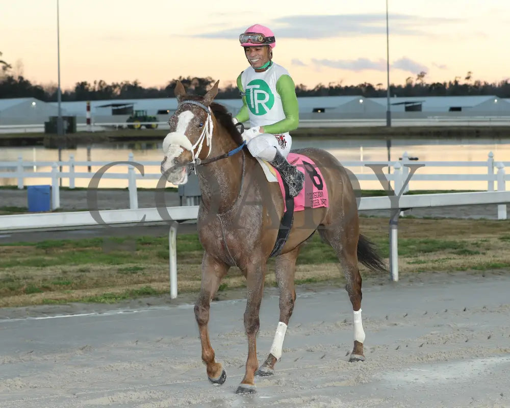 Wholelottamo - The 21St Running Of The La Bred Premier Distaff 02-03-24 R02 Delta Downs Return Shot