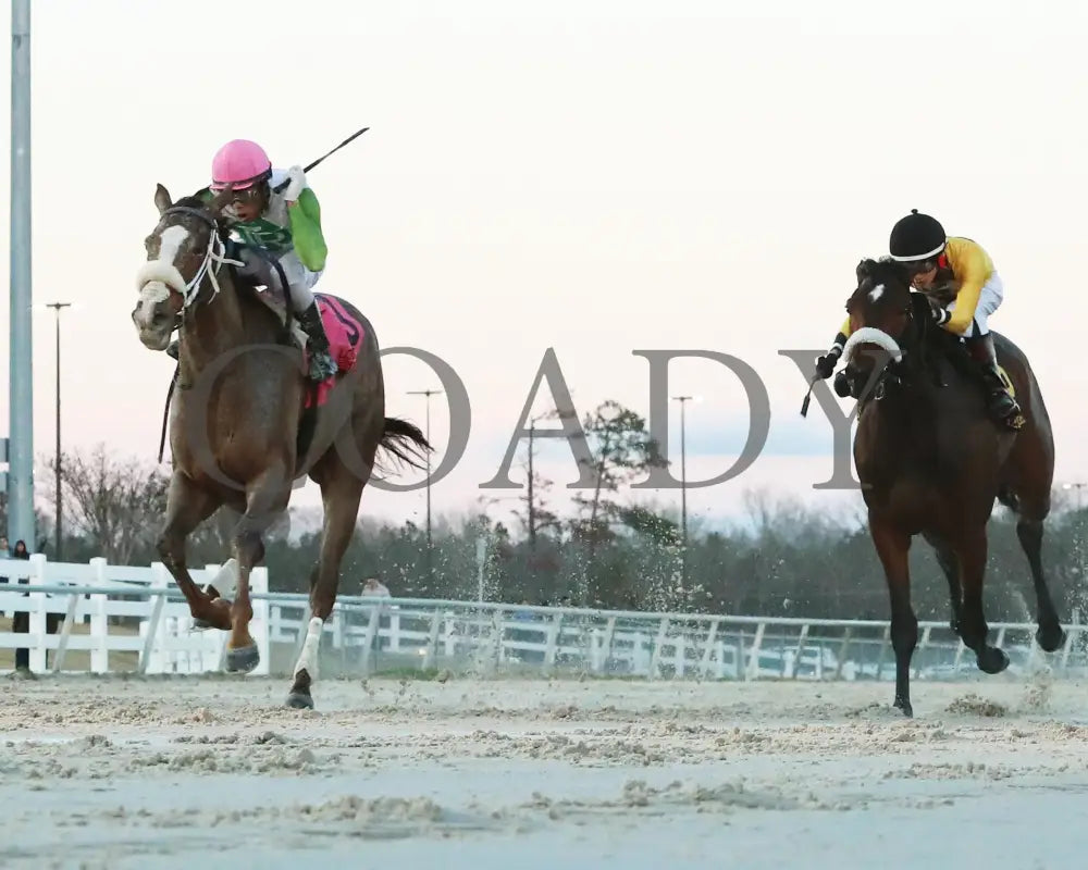 Wholelottamo - The 21St Running Of The La Bred Premier Distaff 02-03-24 R02 Delta Downs Under Rail