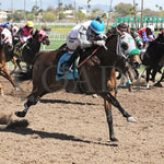 Wicked Cowgirl Smart - Aqra President’s Open Spring Derby 03 - 25 - 24 R02 Turf Paradise Finish 2