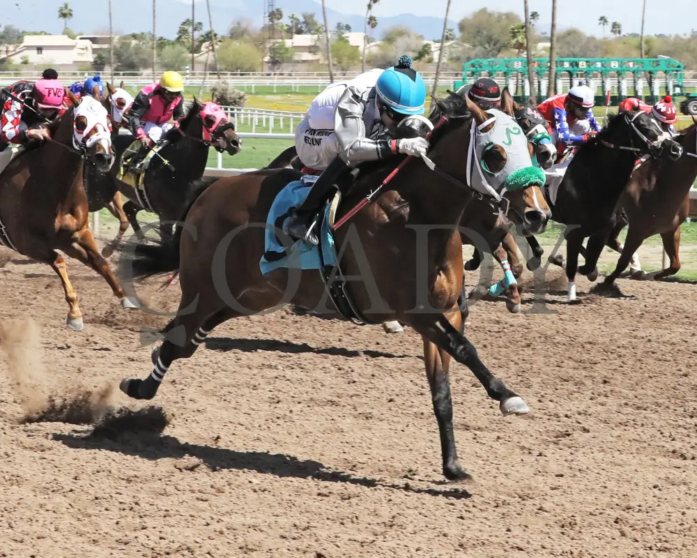 Wicked Cowgirl Smart - Aqra President’s Open Spring Derby 03 - 25 - 24 R02 Turf Paradise Finish 2