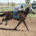 Wicked Cowgirl Smart - Aqra President’s Open Spring Derby 03 - 25 - 24 R02 Turf Paradise Finish