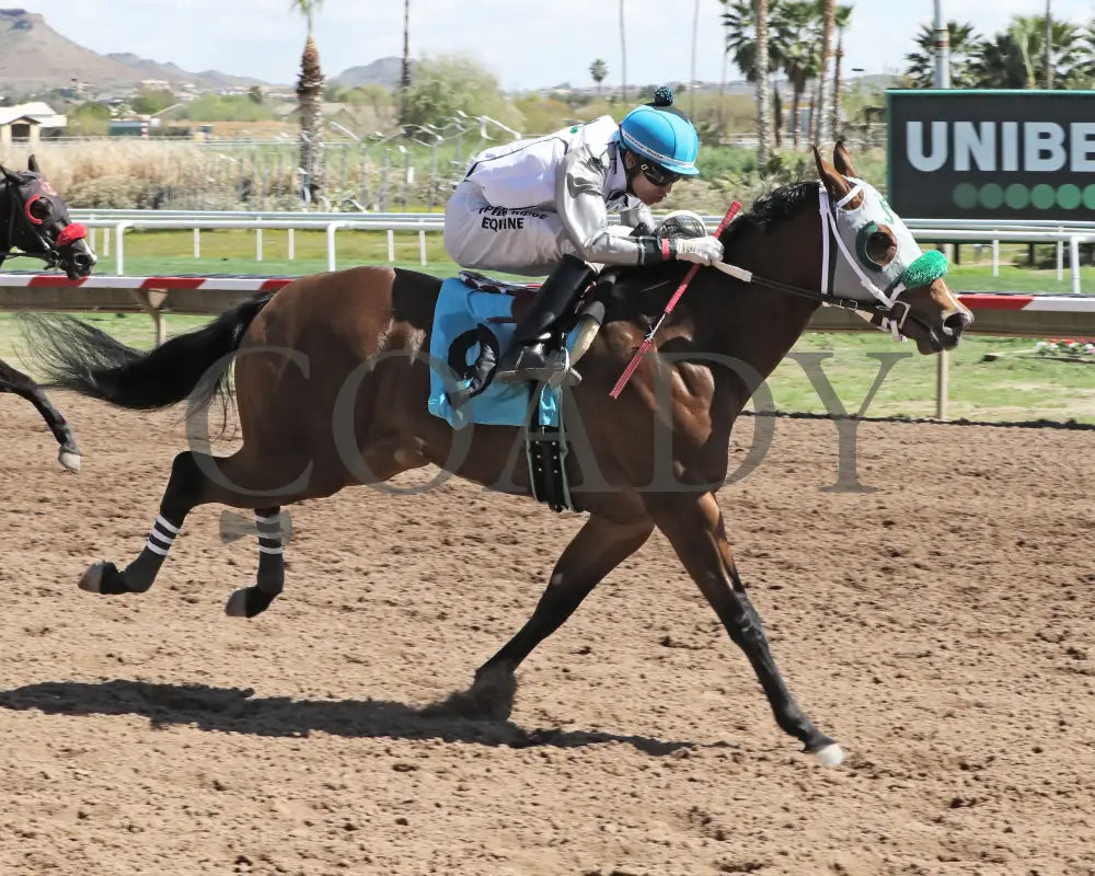 Wicked Cowgirl Smart - Aqra President’s Open Spring Derby 03 - 25 - 24 R02 Turf Paradise Finish