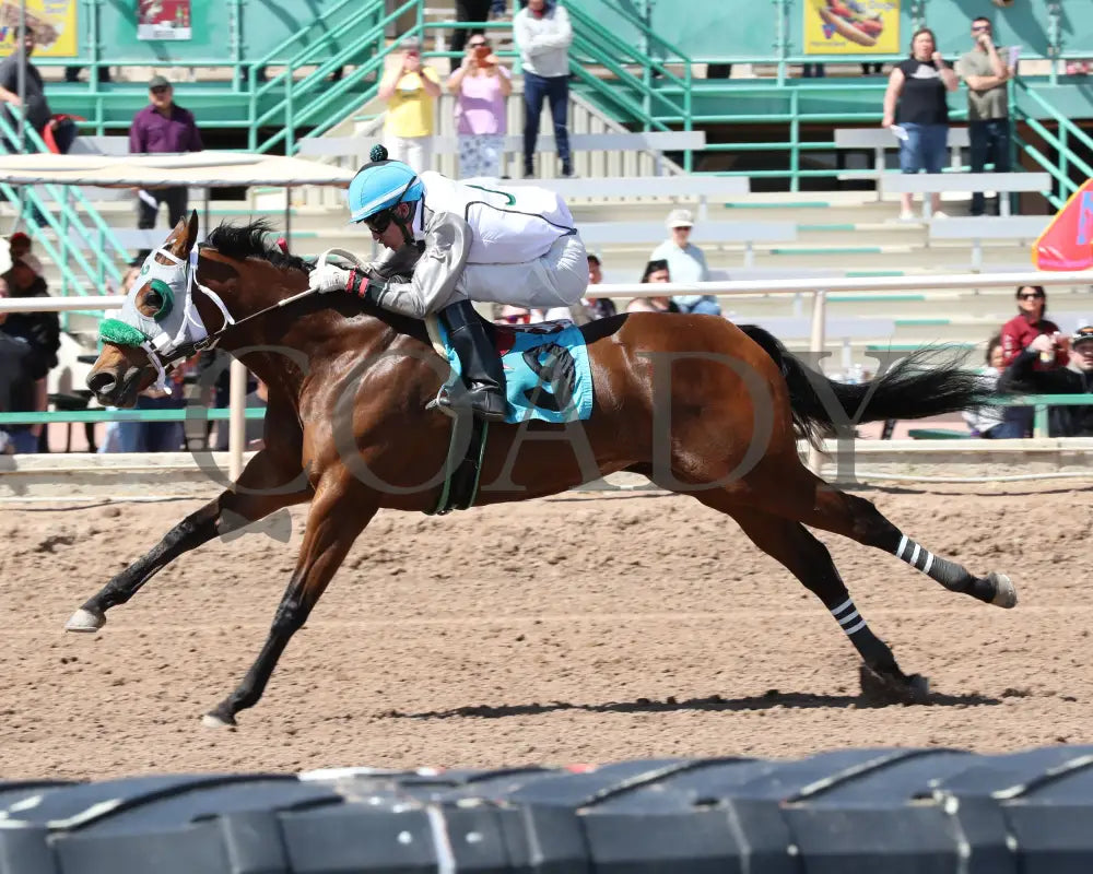 Wicked Cowgirl Smart - Aqra President’s Open Spring Derby 03 - 25 - 24 R02 Turf Paradise Inside