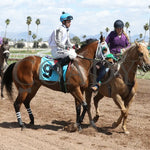 Wicked Cowgirl Smart - Aqra President’s Open Spring Derby 03 - 25 - 24 R02 Turf Paradise Post Parade