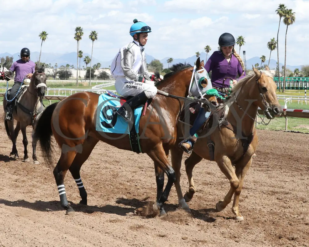 Wicked Cowgirl Smart - Aqra President’s Open Spring Derby 03 - 25 - 24 R02 Turf Paradise Post Parade