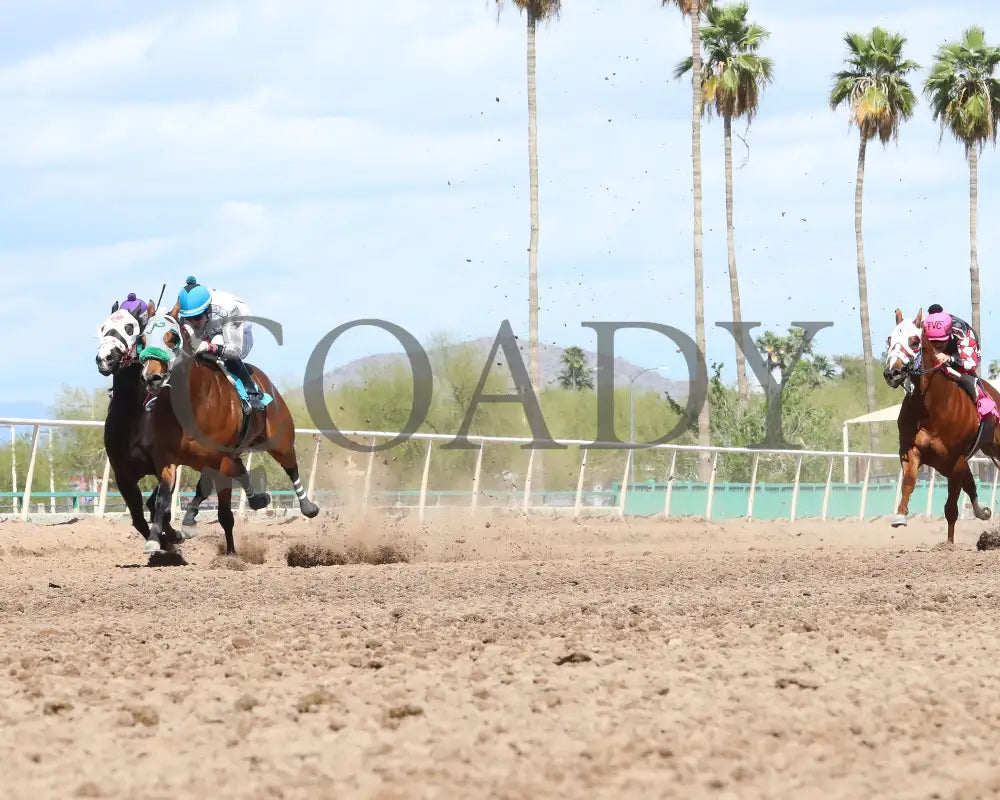 Wicked Cowgirl Smart - Aqra President’s Open Spring Derby 03 - 25 - 24 R02 Turf Paradise Under Rail