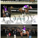 Wild Irish - 02-24-24 R08 Tp Turfway Park