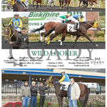 Wild Looker - 10-09-24 R02 Pid Presque Isle Downs