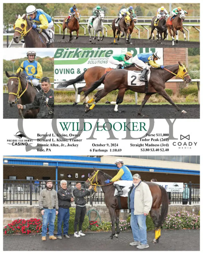 Wild Looker - 10-09-24 R02 Pid Presque Isle Downs