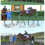 Wild Wine - 08-13-24 R02 Mnr Mountaineer Park