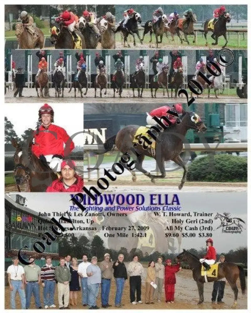 Wildwood Ella - The Lighting And Power Solutions Oaklawn Park