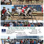 Wildwood Posse - 09-17-24 R04 Fan Fanduel Sportsbook Horse Racing