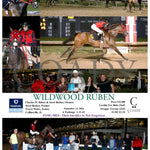 Wildwood Ruben - 09-14-24 R06 Fan Fanduel Sportsbook Horse Racing