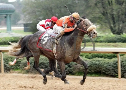 Win Willy - The Rebel Stakes Grade 2 Finish 1 Oaklawn Park