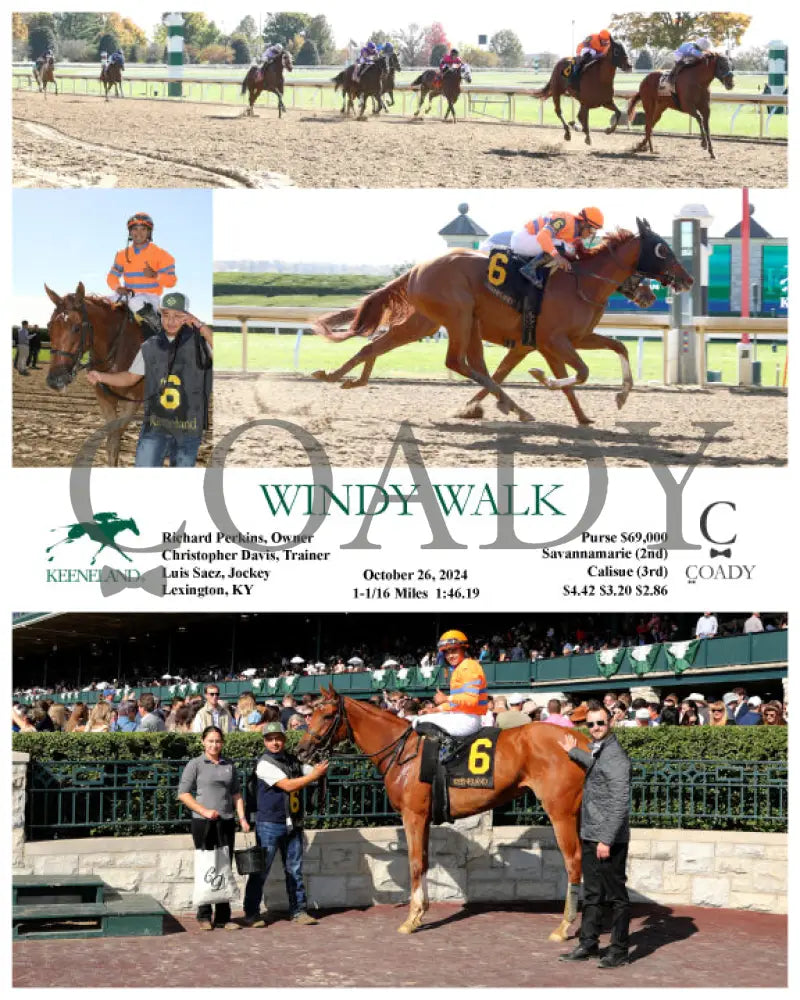 Windy Walk - 10-26-24 R04 Kee Keeneland