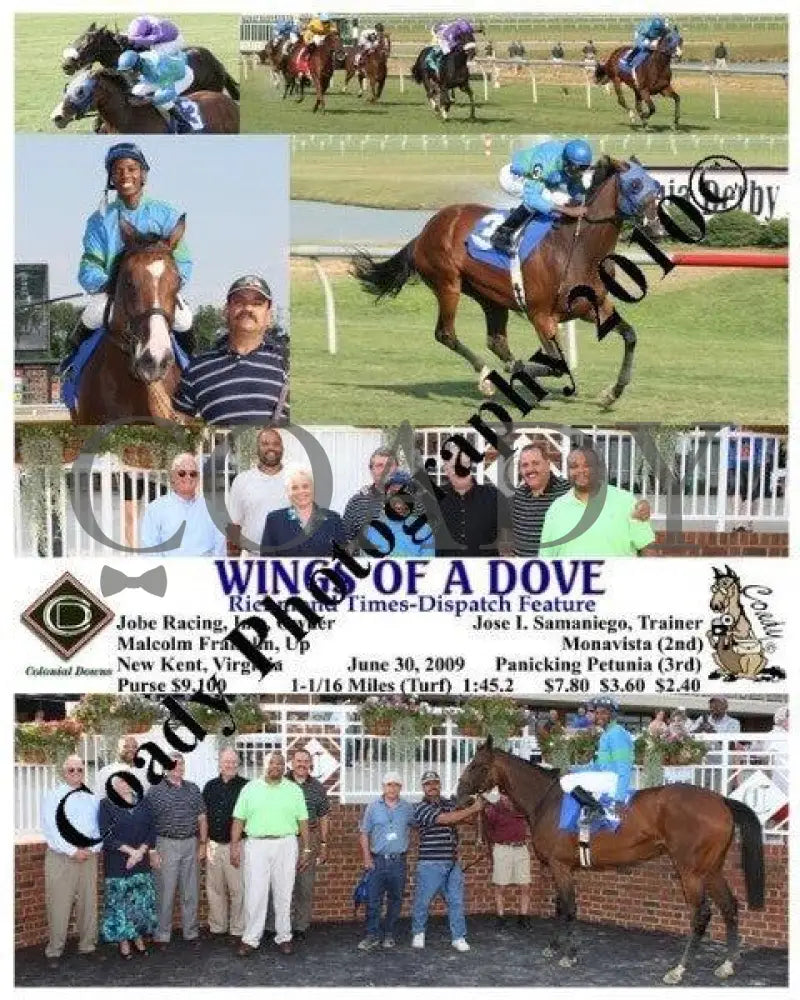 Wings Of A Dove - Richmond Times-Dispatch Featur Colonial Downs