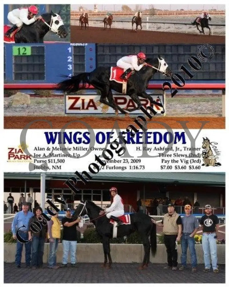 Wings Of Freedom - 11 23 2009 Zia Park