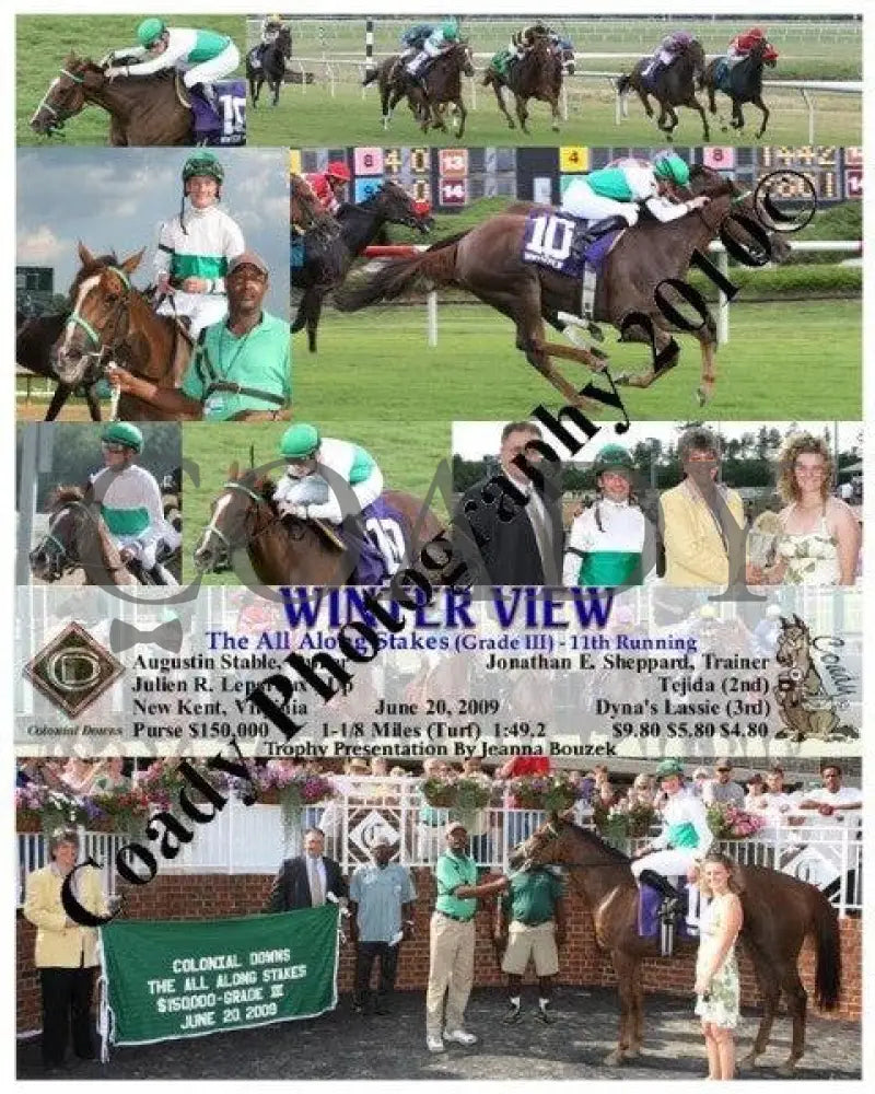 Winter View - The All Along Stakes (Grade Iii) Colonial Downs