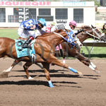 Woody Rocks - Zia Quarter Horse Futurity G1 07-28-24 R09 The Downs At Albuquerque Finish 2