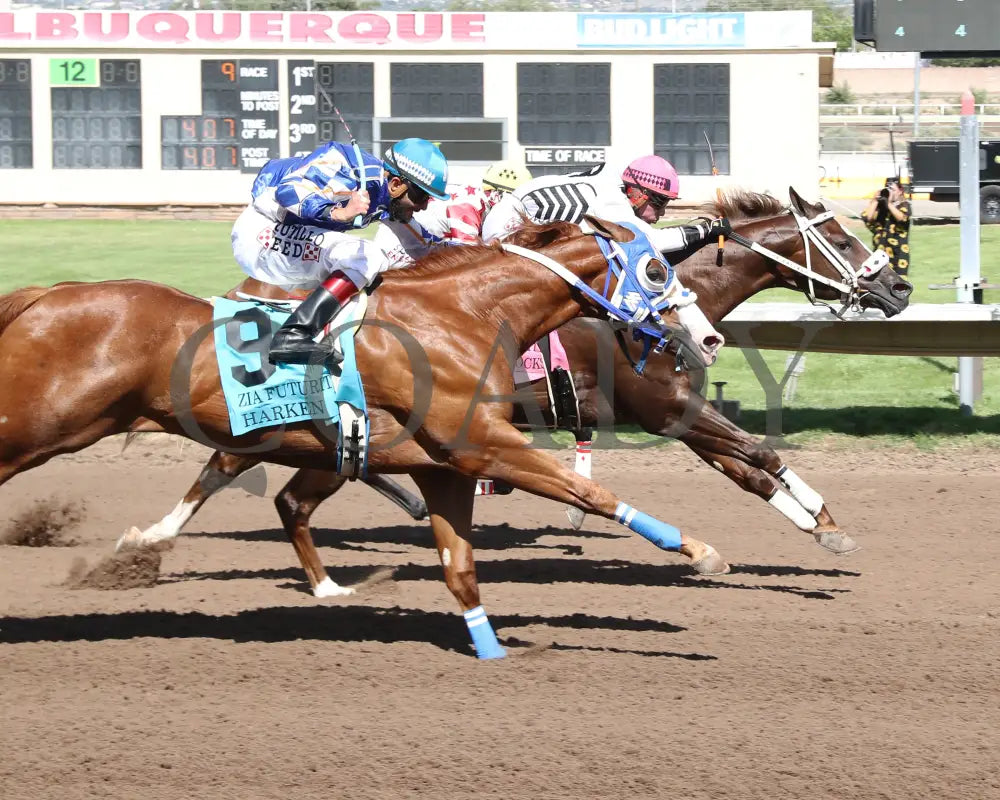 Woody Rocks - Zia Quarter Horse Futurity G1 07-28-24 R09 The Downs At Albuquerque Finish 2