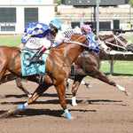 Woody Rocks - Zia Quarter Horse Futurity G1 07-28-24 R09 The Downs At Albuquerque Finish