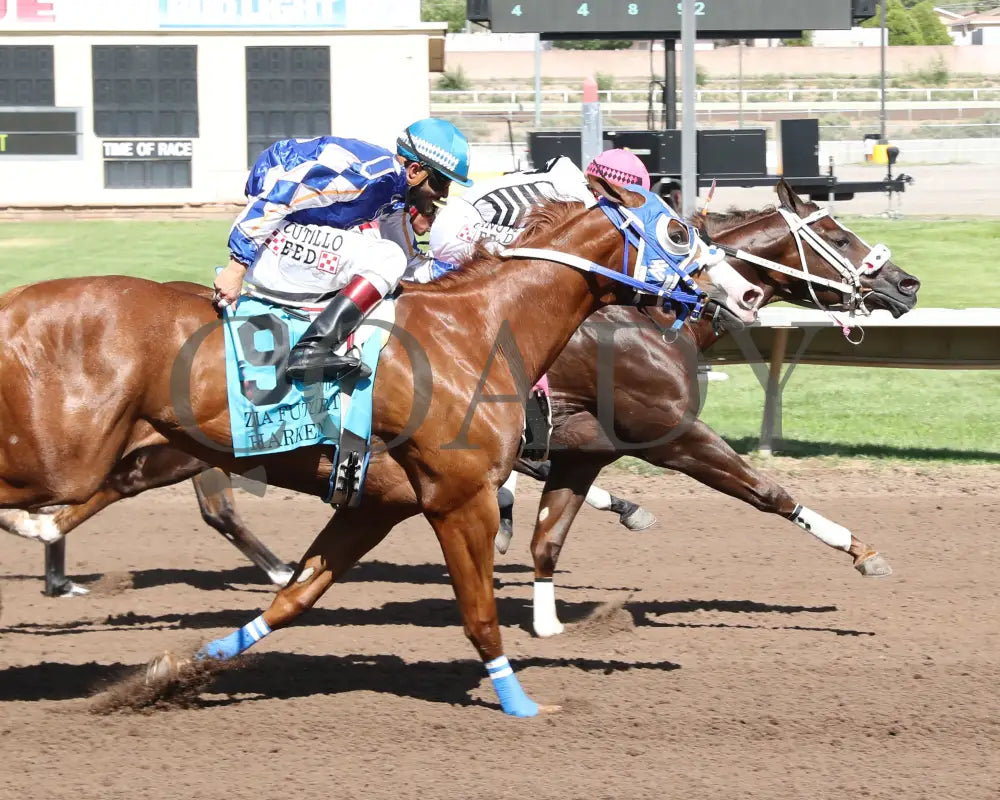 Woody Rocks - Zia Quarter Horse Futurity G1 07-28-24 R09 The Downs At Albuquerque Finish