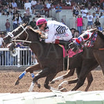 Woody Rocks - Zia Quarter Horse Futurity G1 07-28-24 R09 The Downs At Albuquerque Inside Finish