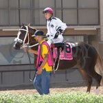 Woody Rocks - Zia Quarter Horse Futurity G1 07-28-24 R09 The Downs At Albuquerque Paddock