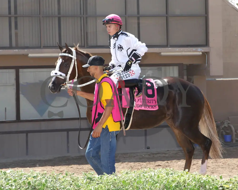 Woody Rocks - Zia Quarter Horse Futurity G1 07-28-24 R09 The Downs At Albuquerque Paddock