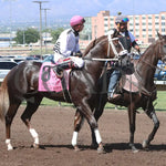 Woody Rocks - Zia Quarter Horse Futurity G1 07-28-24 R09 The Downs At Albuquerque Post Parade