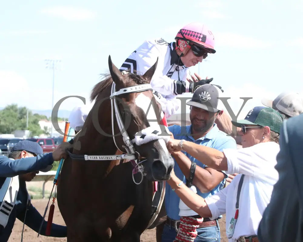 Woody Rocks - Zia Quarter Horse Futurity G1 07-28-24 R09 The Downs At Albuquerque Return Shot 3