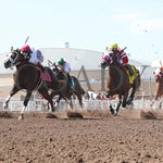 Woody Rocks - Zia Quarter Horse Futurity G1 07-28-24 R09 The Downs At Albuquerque Under Rail