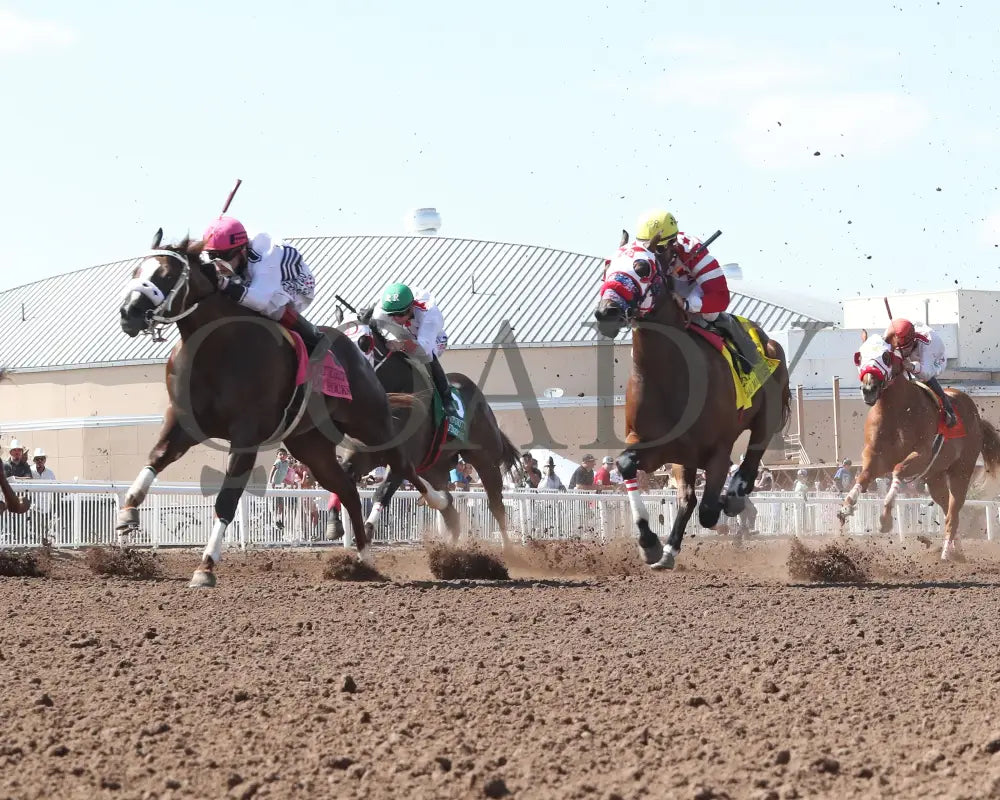 Woody Rocks - Zia Quarter Horse Futurity G1 07-28-24 R09 The Downs At Albuquerque Under Rail