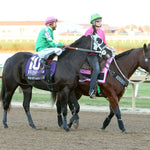 Wrs Mynameisrip - Miss Roxie Little Futurity Final Rg3 10-26-24 R13 Horseshoe Indiana Post Parade