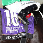 Wrs Mynameisrip - Miss Roxie Little Futurity Final Rg3 10-26-24 R13 Horseshoe Indiana Saddle Towel