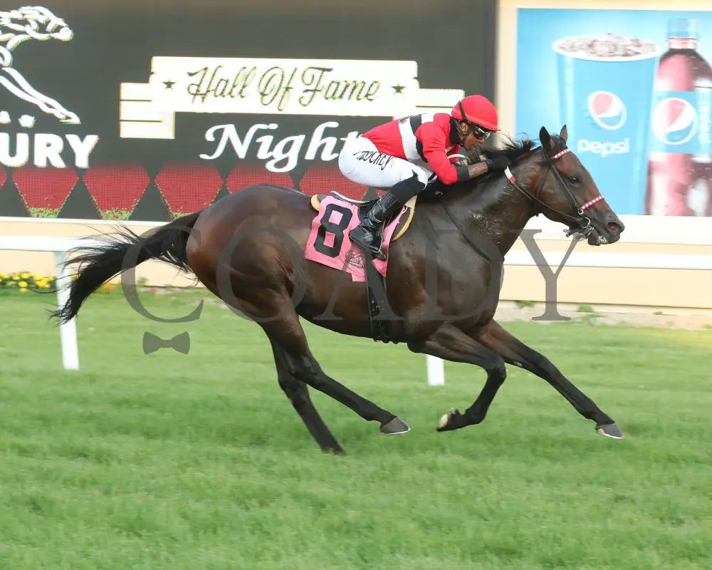 Xavey Dave - Ralph Strangis Handicap 07-13-24 R06 Canterbury Park Finish