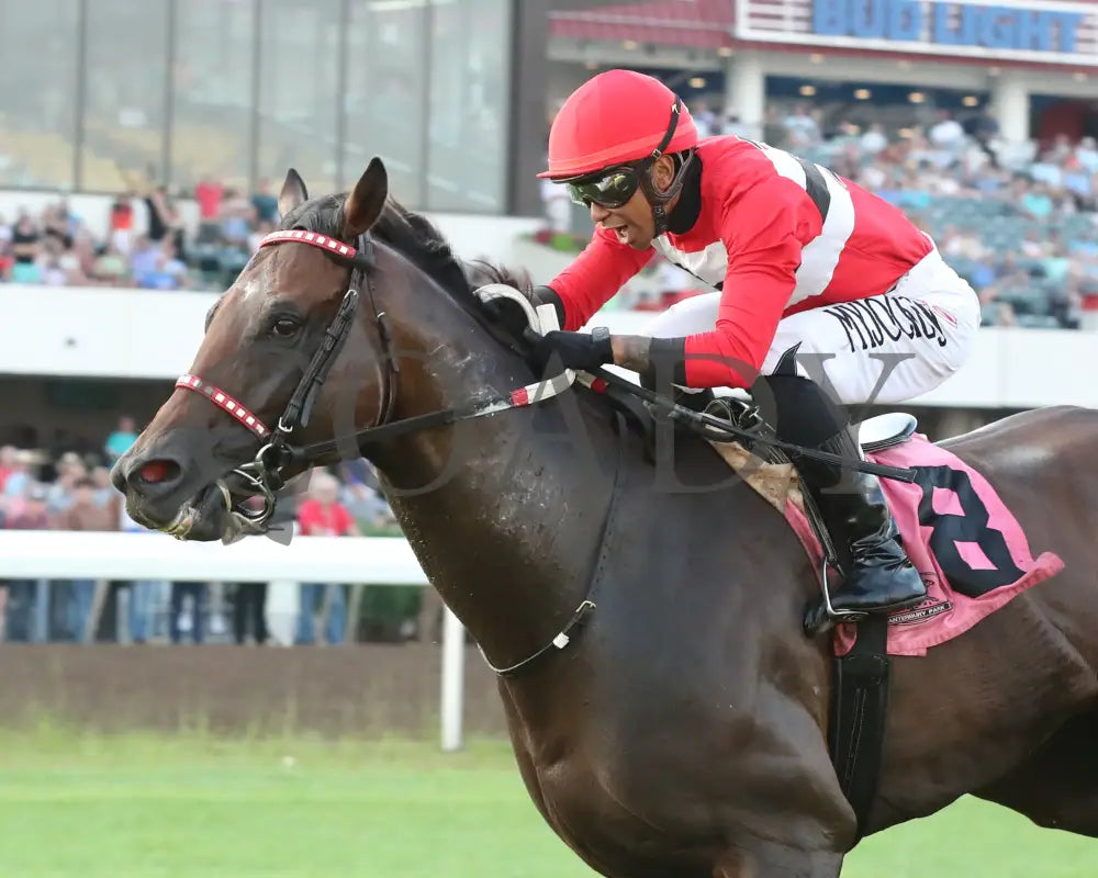 Xavey Dave - Ralph Strangis Handicap 07-13-24 R06 Canterbury Park Inside Finish