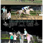 Xhilaratingpurpose - 08-06-24 R07 Mnr Mountaineer Park