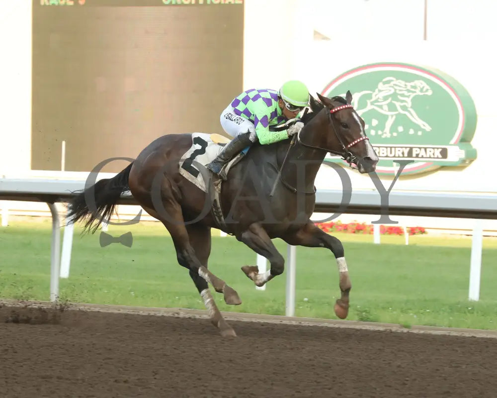 Xtreme Diva - Frances Genter Handicap 07-13-24 R05 Canterbury Park Finish