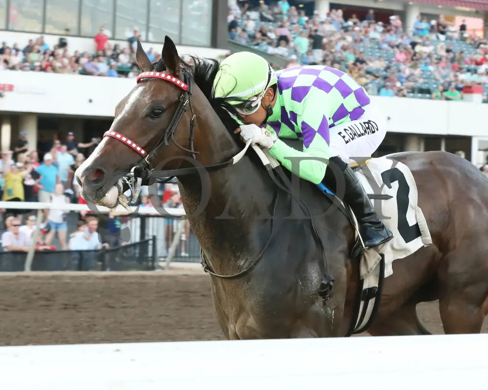 Xtreme Diva - Frances Genter Handicap 07-13-24 R05 Canterbury Park Inside Finish