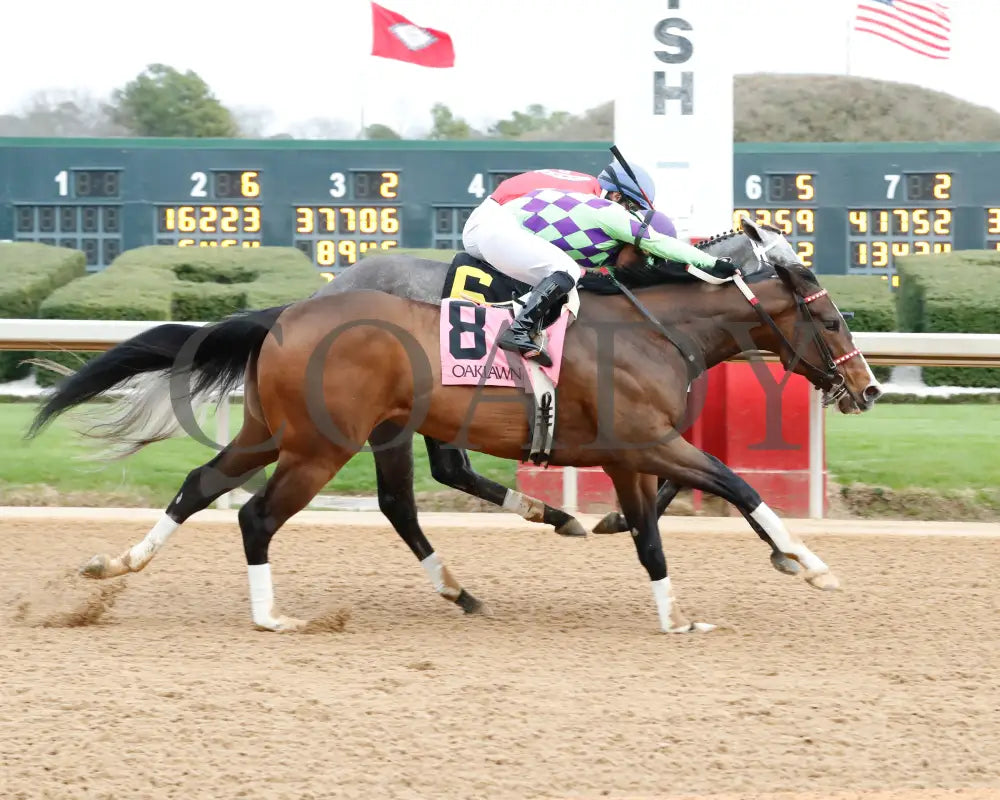 Xtreme Diva - The Dixie Belle Stakes 46Th Running 02-17-24 R09 Op Finish 01 Oaklawn Park