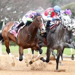 Xtreme Diva - The Dixie Belle Stakes 46Th Running 02-17-24 R09 Op Finish 02 Oaklawn Park