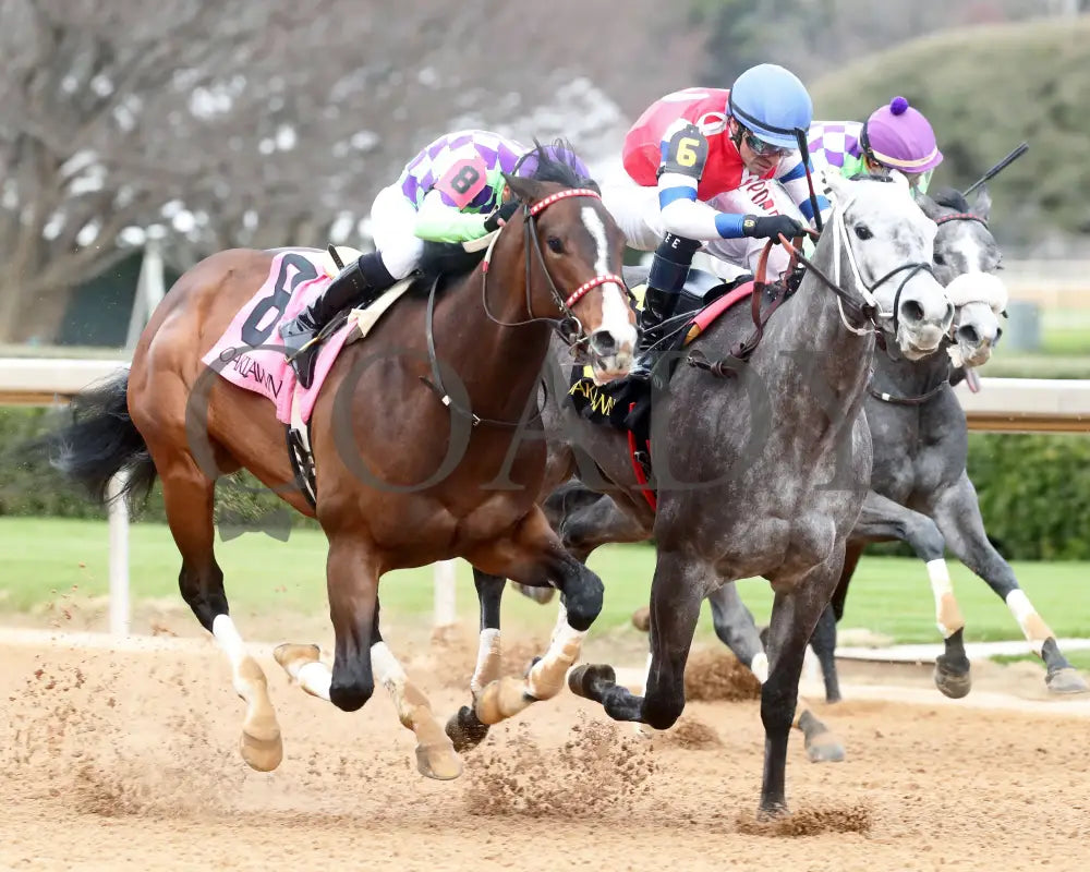 Xtreme Diva - The Dixie Belle Stakes 46Th Running 02-17-24 R09 Op Finish 02 Oaklawn Park