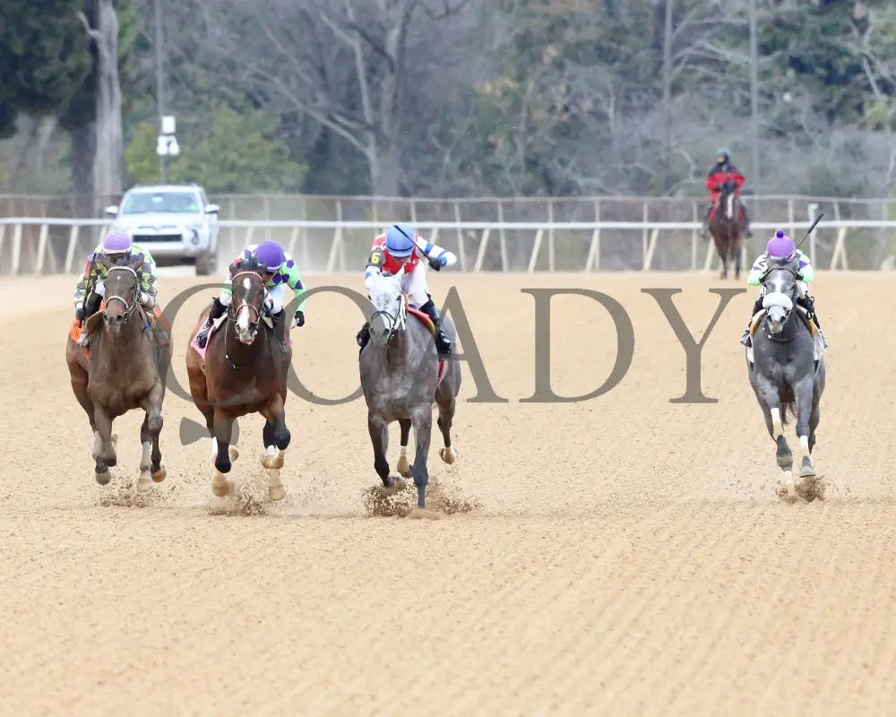 Xtreme Diva - The Dixie Belle Stakes 46Th Running 02-17-24 R09 Op Head On 01 Oaklawn Park