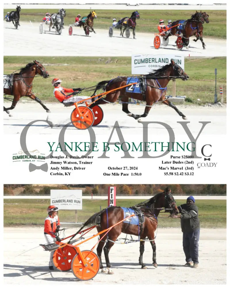 Yankee B Something - 10-27-24 R05 Clr Cumberland Run