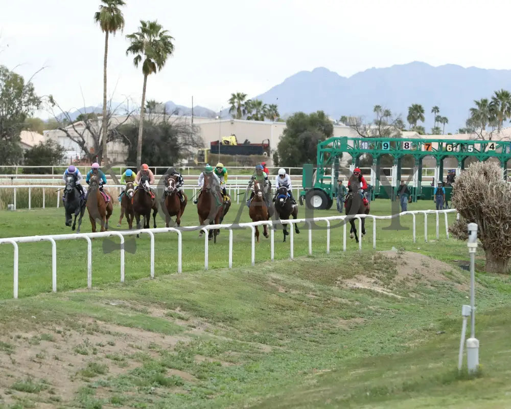 Yankee Dollar - Queen Of The Green 03 - 14 - 24 R09 Turf Paradise Start